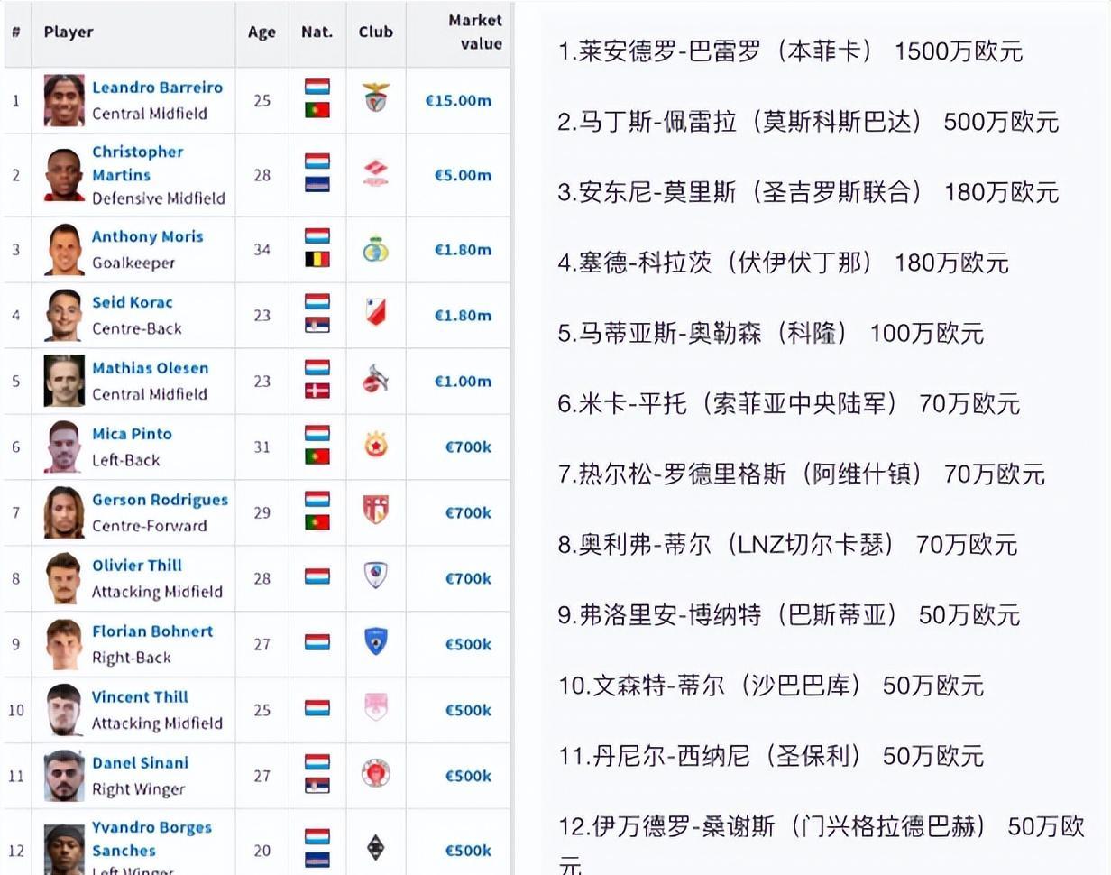 爱游戏在线-爱尔兰主场不敌卢森堡，遭遇意外失利的简单介绍