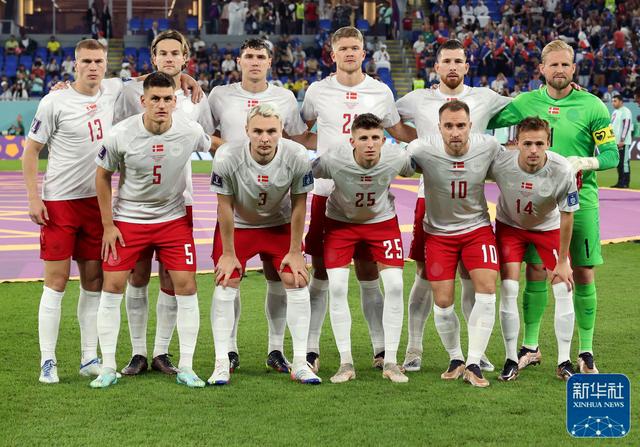 法国队险胜丹麦队,马琳统治全场 法国队险胜丹麦队,马琳统治全场